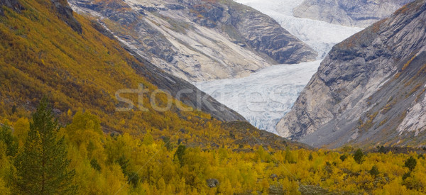 Nigardsbreen Glacier, Jostedalsbreen National Park, Norway Stock photo © phbcz