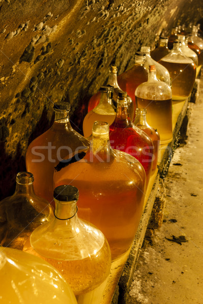 Cave à vin République tchèque boire réservoir objet production Photo stock © phbcz