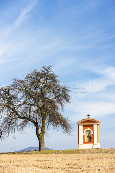 Folter Region Tschechische Republik Baum Gebäude Architektur Stock foto © phbcz