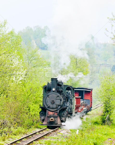 narrow gauge railway, Banovici, Bosnia and Hercegovina Stock photo © phbcz