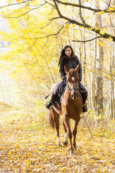 верхом природы женщины лошади Сток-фото © phbcz