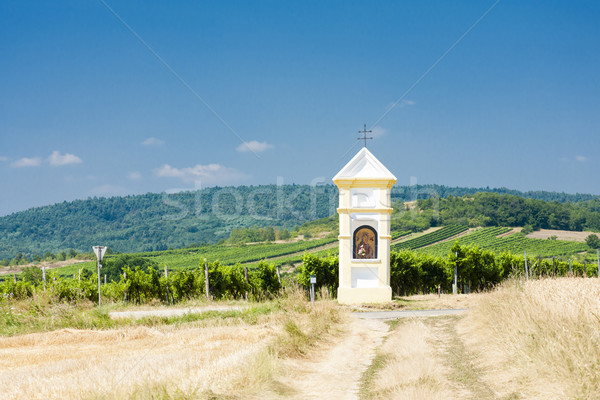 God's torture with vineyard near Retz, Lower Austria, Austria Stock photo © phbcz