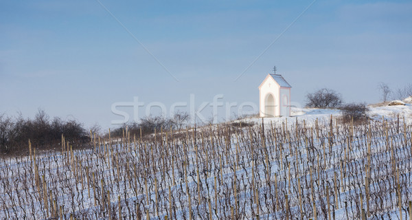 Tél szőlőskert déli Csehország épület hó Stock fotó © phbcz