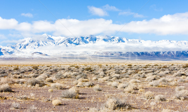 Iarnă munţi Nevada SUA peisaj zăpadă Imagine de stoc © phbcz