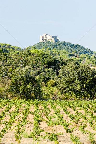 castle Saint Martin with vineyard, Languedoc-Roussillon, France Stock photo © phbcz