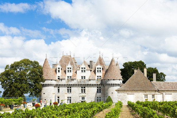 Monbazillac Castle with vineyard, Aquitaine, France Stock photo © phbcz