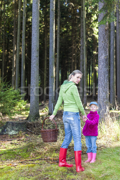 mother with her daughter doing mushroom picking Stock photo © phbcz