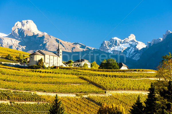 vineyards below church at Conthey, Sion region, canton Valais, S Stock photo © phbcz