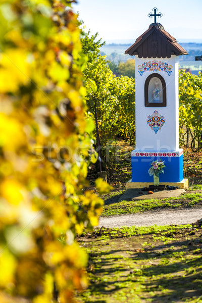 God's torture with vineyard near Nechory, Czech Republic Stock photo © phbcz