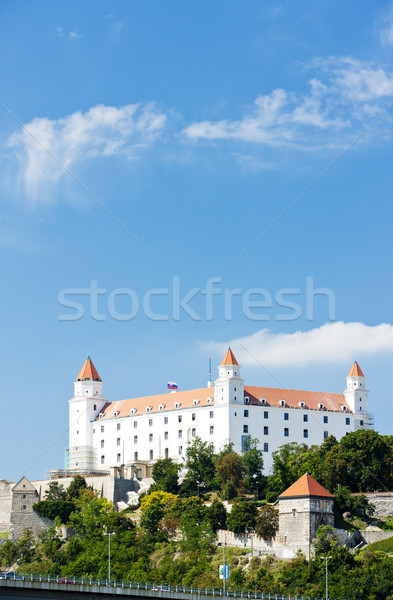Bratislava castillo Eslovaquia ciudad arquitectura historia Foto stock © phbcz