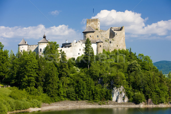 Niedzica Castle, Poland Stock photo © phbcz
