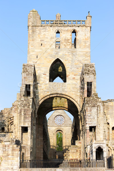 Rovine abbazia Scozia costruzione architettura Foto d'archivio © phbcz