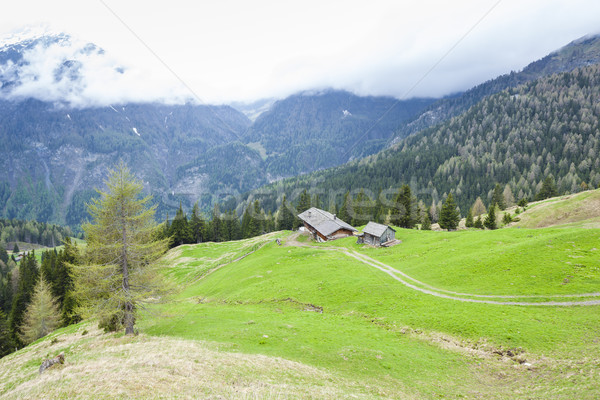 Upper Tauern National Park near Grossglockner, Carinthia and Eas Stock photo © phbcz