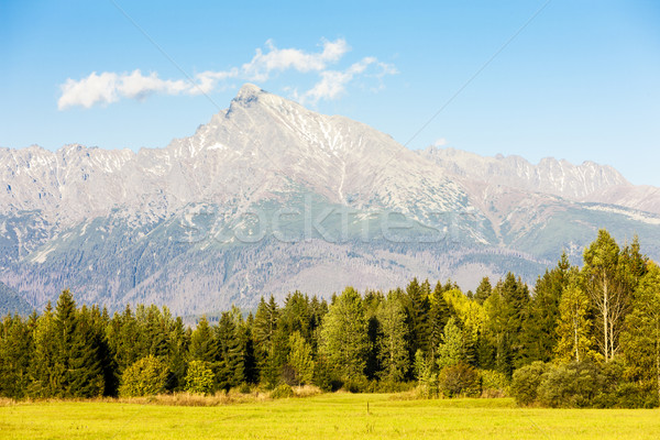 Krivan Mountain, Vysoke Tatry (High Tatras), Slovakia Stock photo © phbcz