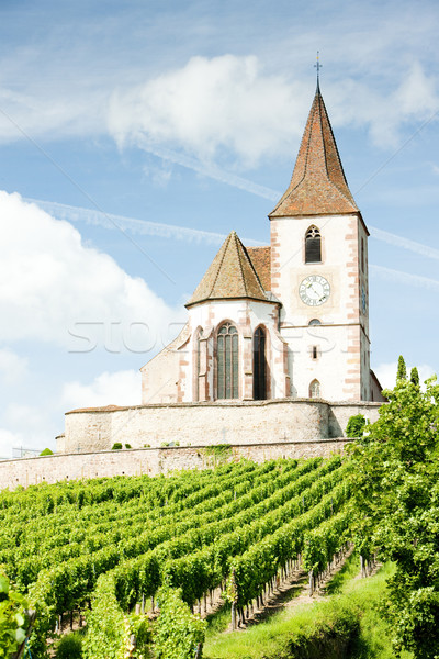 Hunawihr, Alsace, France Stock photo © phbcz