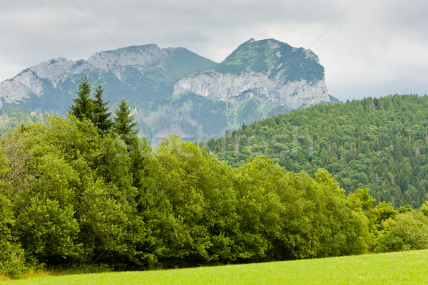 Belianske Tatry (Belianske Tatras), Slovakia Stock photo © phbcz