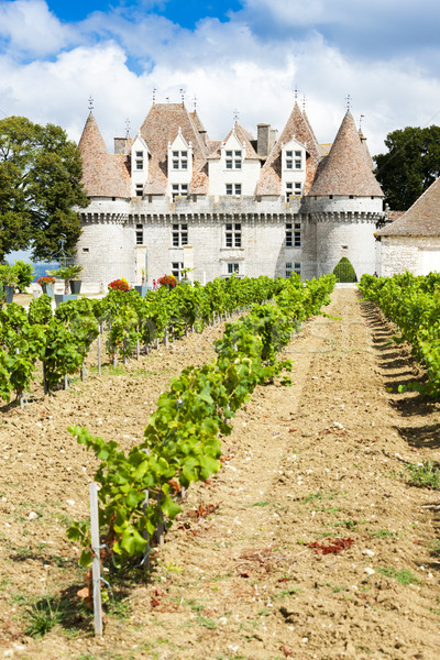 Castello vigneto Francia costruzione viaggio architettura Foto d'archivio © phbcz