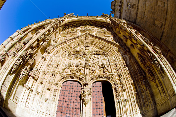 gothic cathedral in Salamanca, Castile and Leon, Spain Stock photo © phbcz