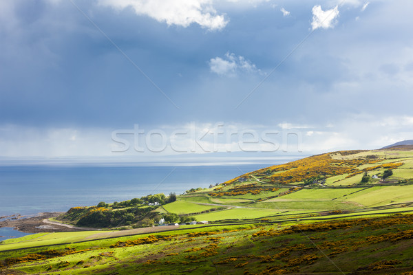 Landschaft Hochland Schottland Meer Europa Wiese Stock foto © phbcz