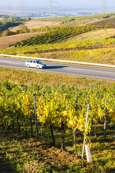 Widoku jesienny obniżyć Austria drogowego krajobraz Zdjęcia stock © phbcz