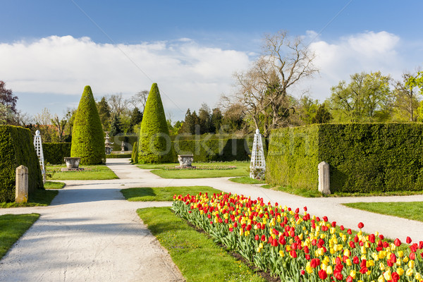 Garten Palast Tschechische Republik Blume Baum Reise Stock foto © phbcz