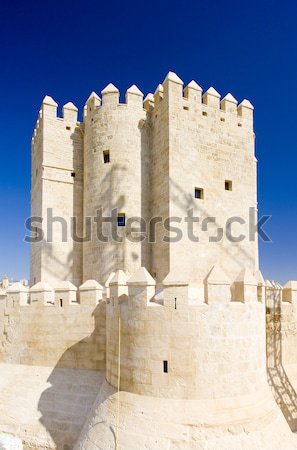 Castle of Montealegre, Castile and Leon, Spain Stock photo © phbcz