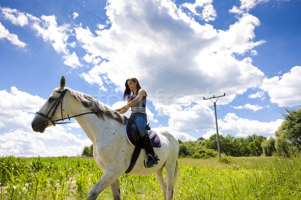 equestrian on horseback Stock photo © phbcz