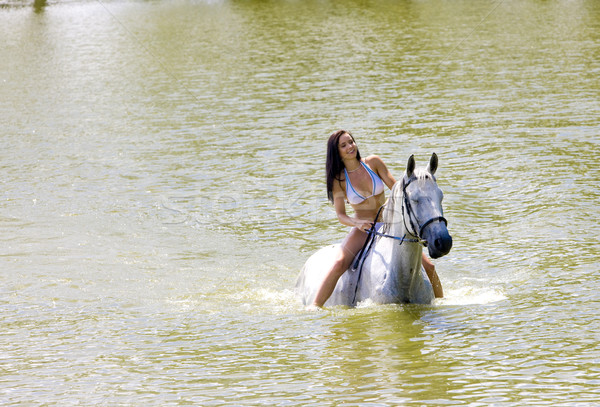 equestrian on horseback riding through water Stock photo © phbcz