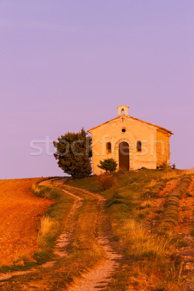 Kapel lavendel veld plateau gebouw reizen architectuur Stockfoto © phbcz