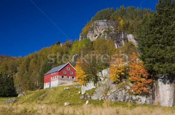 Kvaevemoen, Norway Stock photo © phbcz