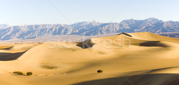 Stovepipe Wells sand dunes, Death Valley National Park, Californ Stock photo © phbcz