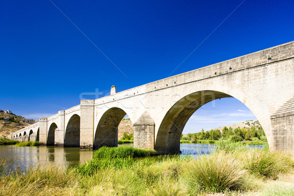 bridge in Medellin, Badajoz Province, Extremadura, Spain Stock photo © phbcz