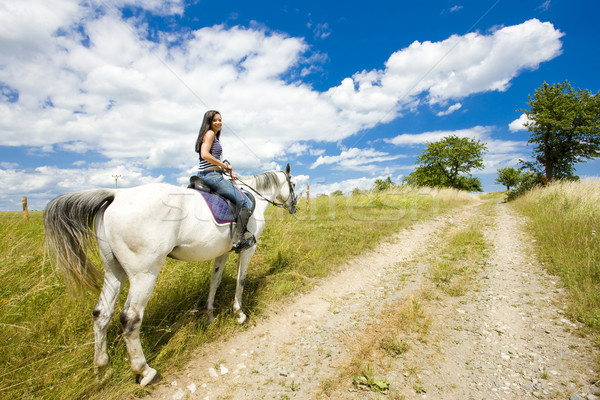 equestrian on horseback Stock photo © phbcz