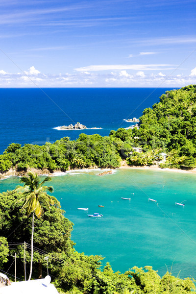 Parlatuvier Bay, Tobago Stock photo © phbcz