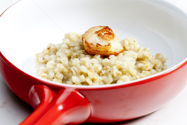 fried Saint Jacques mollusc with pearl barley risotto Stock photo © phbcz