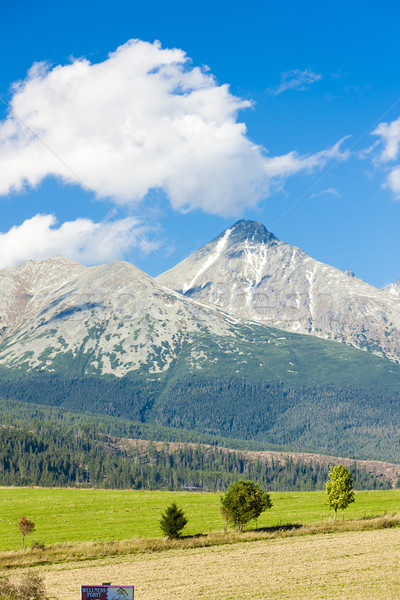 Krivan Mountain and Western part of High Tatras, Slovakia Stock photo © phbcz