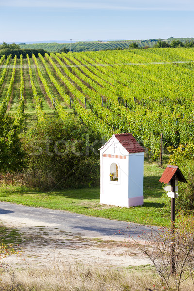 God's torture near Hnanice with vineyard, Southern Moravia, Cze Stock photo © phbcz