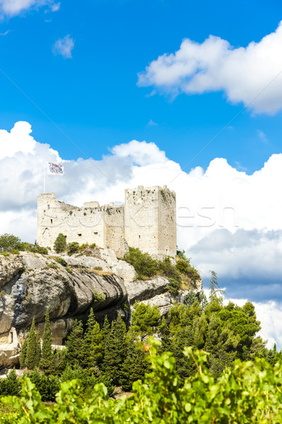ruins of castle in Vaison-la-Romaine with vineyard, Provence, Fr Stock photo © phbcz