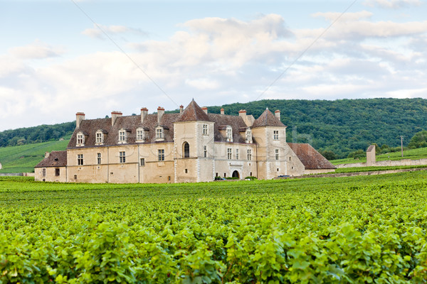 Clos Blanc De Vougeot Castle, Burgundy, France Stock photo © phbcz