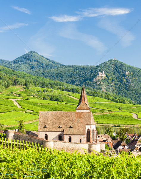Hunawihr, Alsace, France Stock photo © phbcz