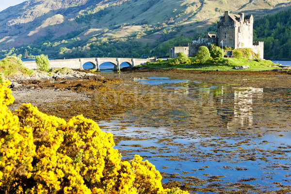 Burg Schottland See Architektur Geschichte Freien Stock foto © phbcz