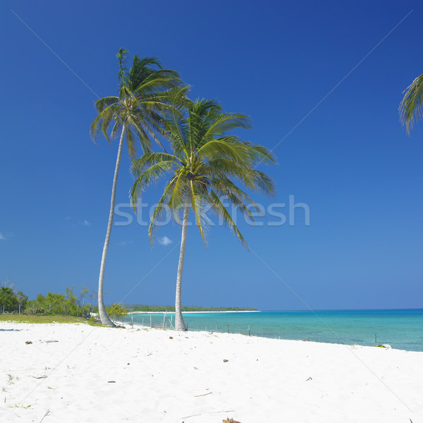 La plage Rio Cuba paysage mer [[stock_photo]] © phbcz