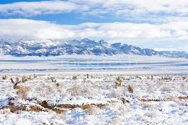Munţi Las Vegas Nevada SUA peisaj zăpadă Imagine de stoc © phbcz