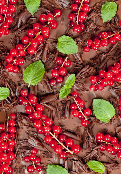 red currant and mint with chocolate Stock photo © phbcz