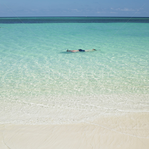 Stock photo: snorkeling, Guardalavaca, Cuba
