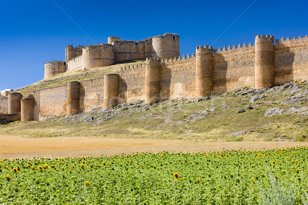 Berlanga de Duero Castle, Soria Province, Castile and Leon, Spai Stock photo © phbcz