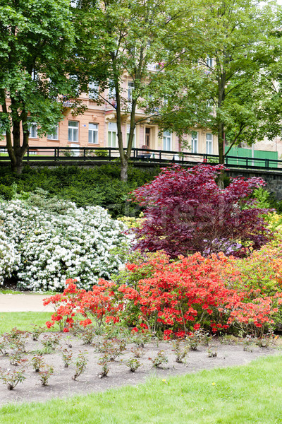 park in Karlovy Vary (Carlsbad), Czech Republic Stock photo © phbcz