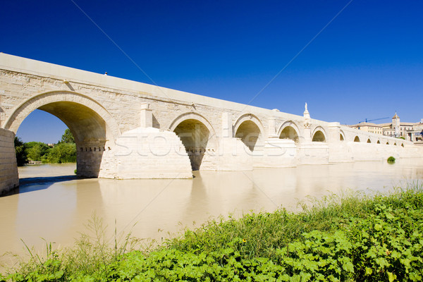 Roman bridge, Cordoba, Andalusia, Spain Stock photo © phbcz