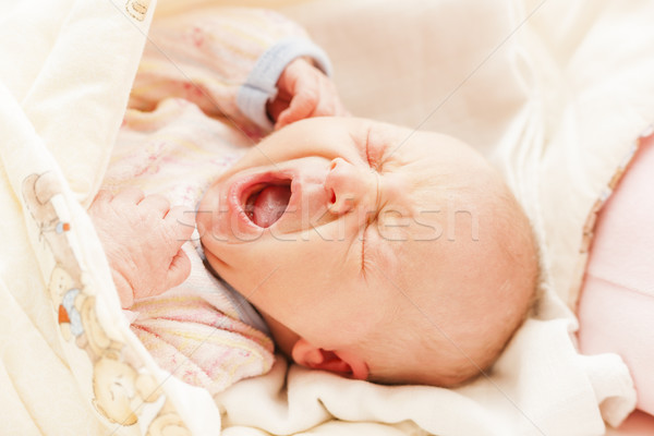 portrait of crying newborn baby girl Stock photo © phbcz