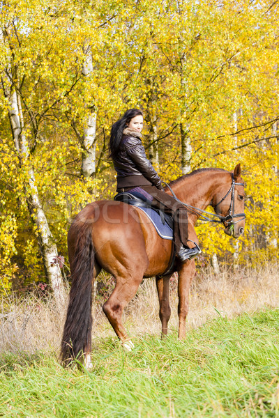 Stock photo: equestrian on horseback in autumnal nature